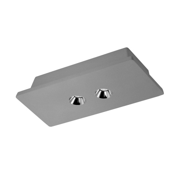 Накладной светильник LOFT IT Architect OL1072-GH/2