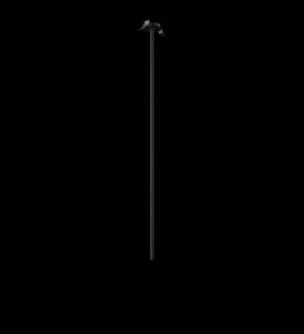 Потолочный светильник LOFT IT Cane 10359/1000 Black