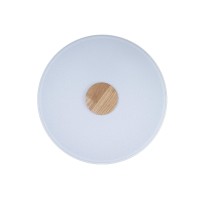 Потолочный светильник LOFT IT Axel 10003/24 White