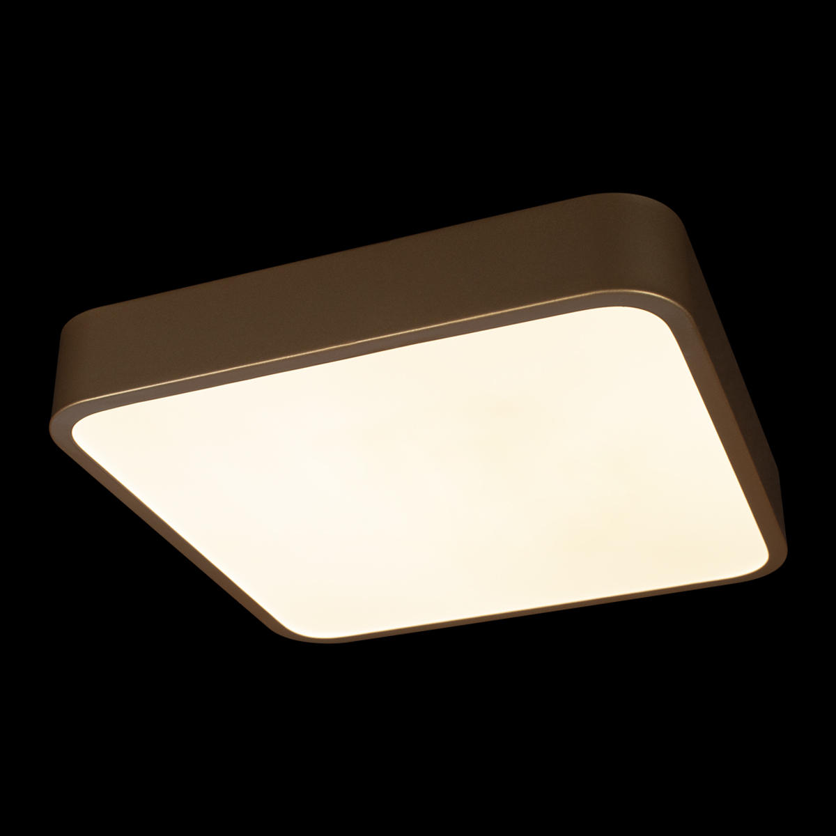 Потолочный светильник LOFT IT Flims 10228/C