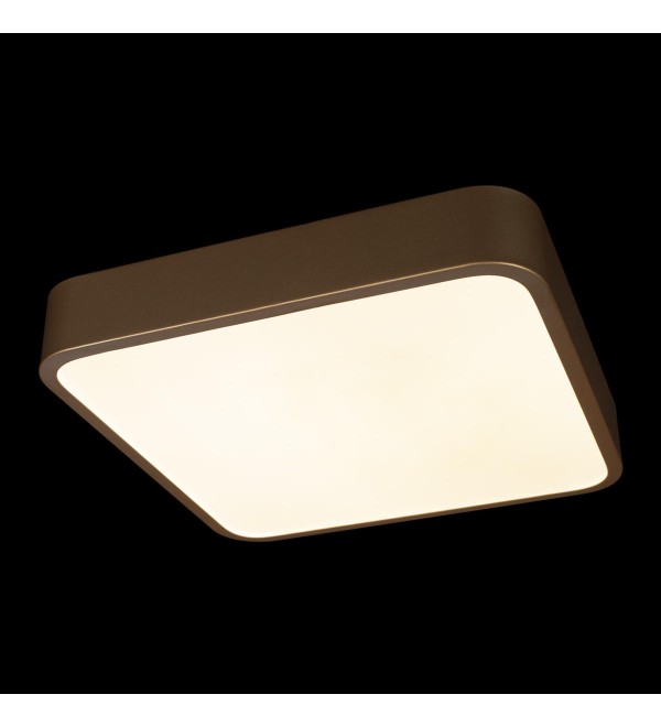 Потолочный светильник LOFT IT Flims 10228/C
