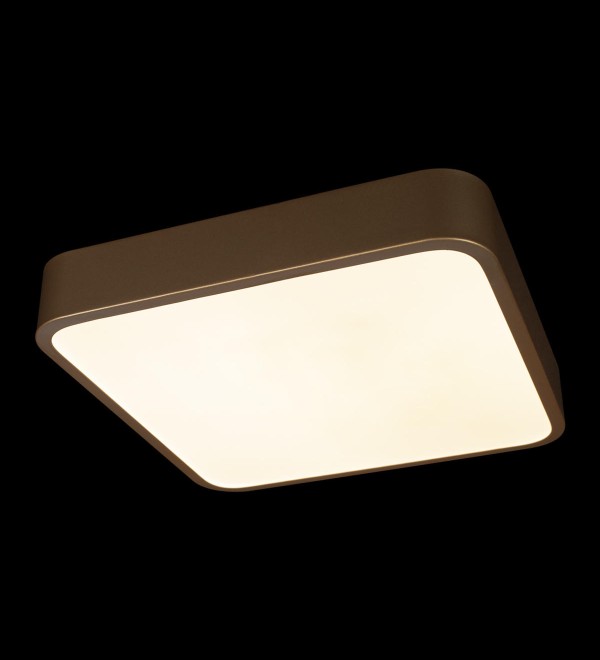 Потолочный светильник LOFT IT Flims 10228/C