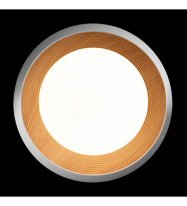 Потолочный светильник LOFT IT Folk 10255/500 White