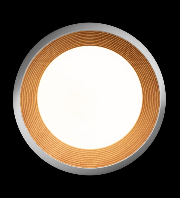 Потолочный светильник LOFT IT Folk 10255/500 White