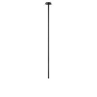 Потолочный светильник LOFT IT Cane 10359/1000 Black