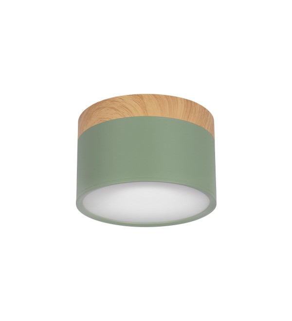 Накладной светильник LOFT IT Grape 10162 Green