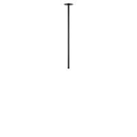 Потолочный светильник LOFT IT Cane 10359/600 Black