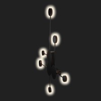Настенный светильник LOFT IT Rays 10058BK