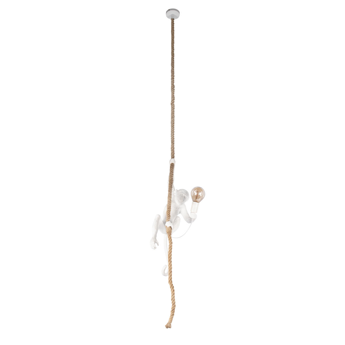 Подвесной светильник LOFT IT Monkey 10314P