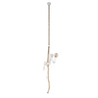 Подвесной светильник LOFT IT Monkey 10314P