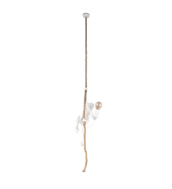 Подвесной светильник LOFT IT Monkey 10314P