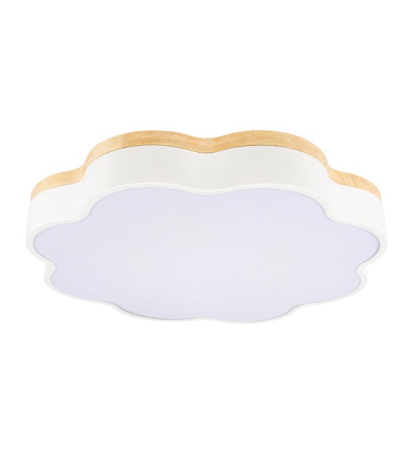 Потолочный светильник LOFT IT Axel 10225/36 White