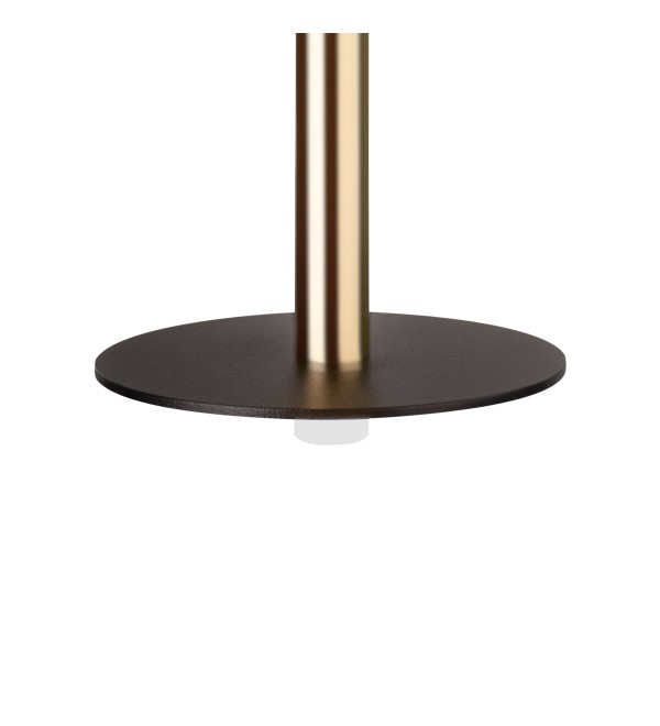 Подвесной светильник LOFT IT Reed 10358/830 Disk AB