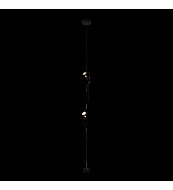 Подвесной светильник LOFT IT Parentesi 10346/2 Black