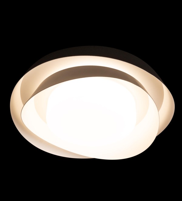 Потолочный светильник LOFT IT Petale 10256 Black