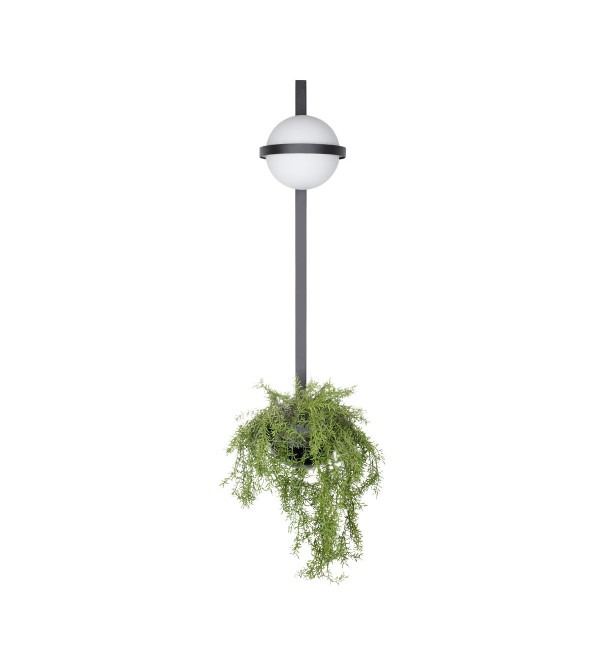 Настенный светильник LOFT IT Jardin 10121W/B