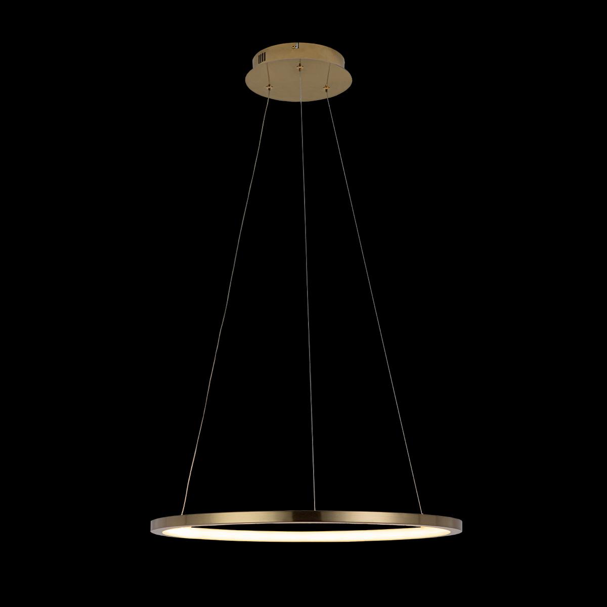Подвесной светильник LOFT IT Ring 10014M