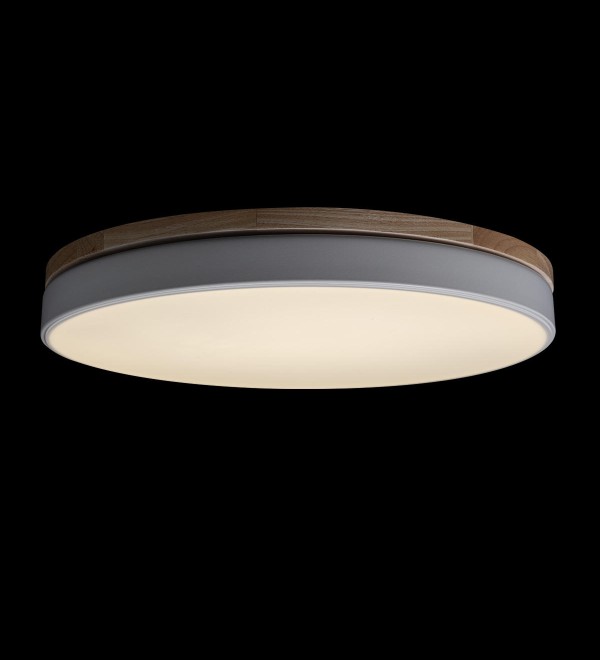 Потолочный светильник LOFT IT Axel 10001/36 White