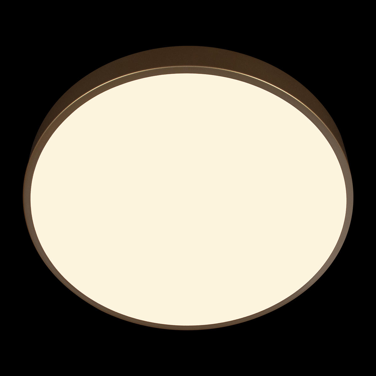 Потолочный светильник LOFT IT Flims 10228/A