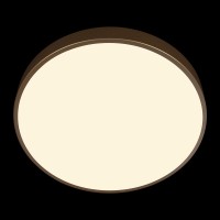 Потолочный светильник LOFT IT Flims 10228/A