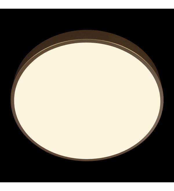 Потолочный светильник LOFT IT Flims 10228/A