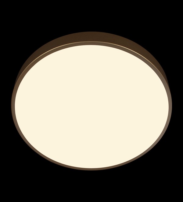 Потолочный светильник LOFT IT Flims 10228/A