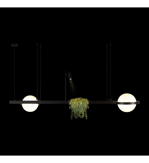 Подвесной светильник LOFT IT Jardin 10121/D