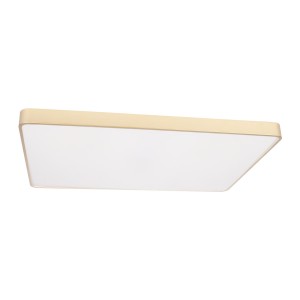 Потолочный светильник LOFT IT Flims 10228/E