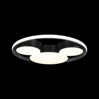 Потолочный светильник LOFT IT Mike 10166