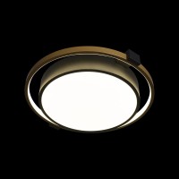Потолочный светильник LOFT IT Mike 10169