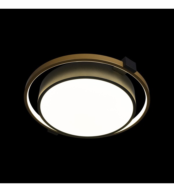 Потолочный светильник LOFT IT Mike 10169