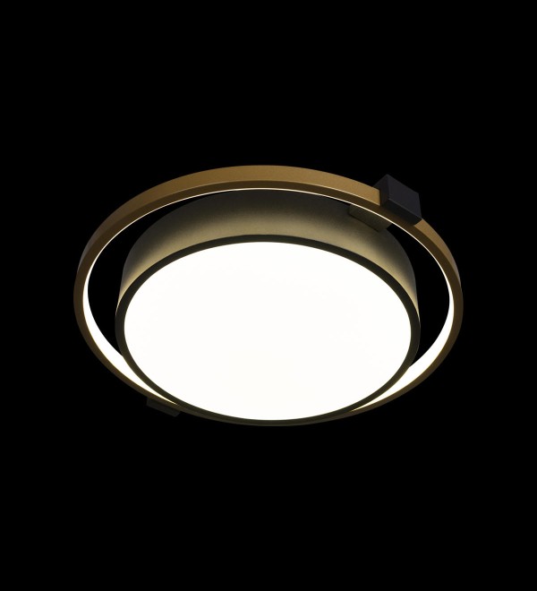 Потолочный светильник LOFT IT Mike 10169