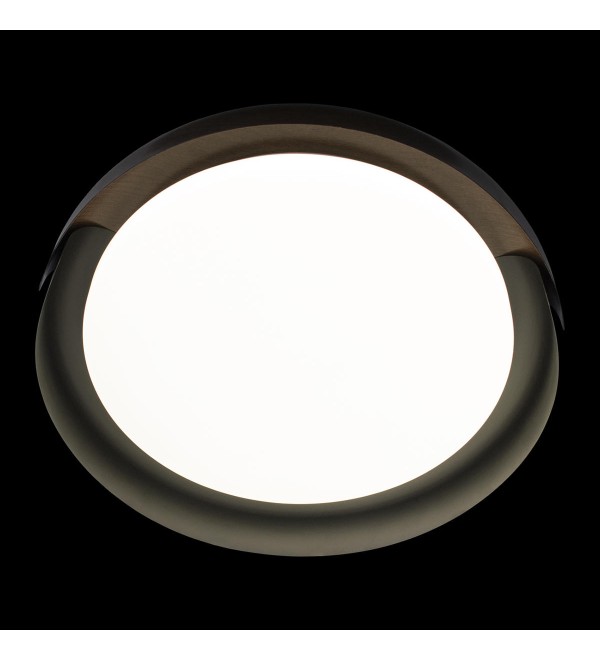 Потолочный светильник LOFT IT Coin 10198 Black