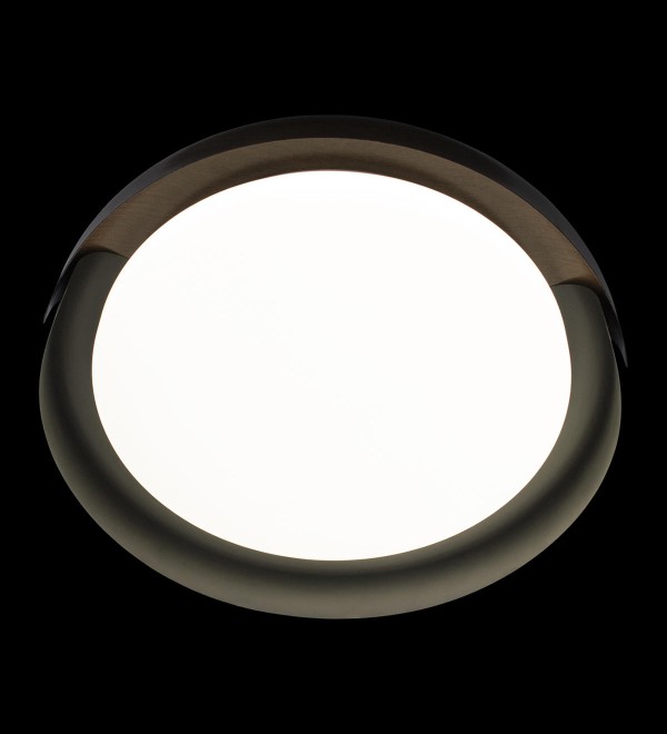 Потолочный светильник LOFT IT Coin 10198 Black