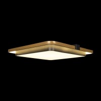Потолочный светильник LOFT IT Mike 10172