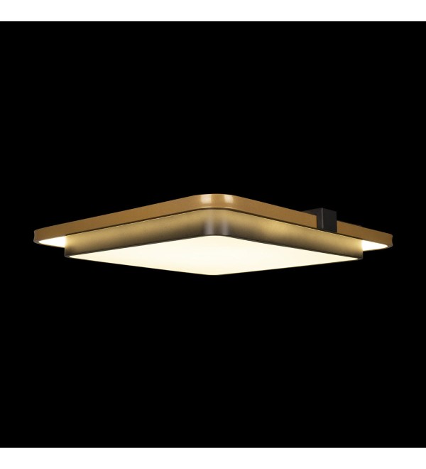 Потолочный светильник LOFT IT Mike 10172