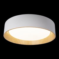 Потолочный светильник LOFT IT Coin 10202 White