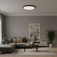 Потолочный светильник LOFT IT Sweety 10454/500 Black