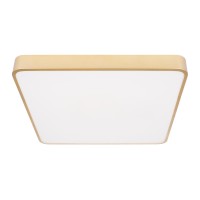Потолочный светильник LOFT IT Flims 10228/D