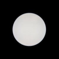 Потолочный светильник LOFT IT Axel 10002/48 White