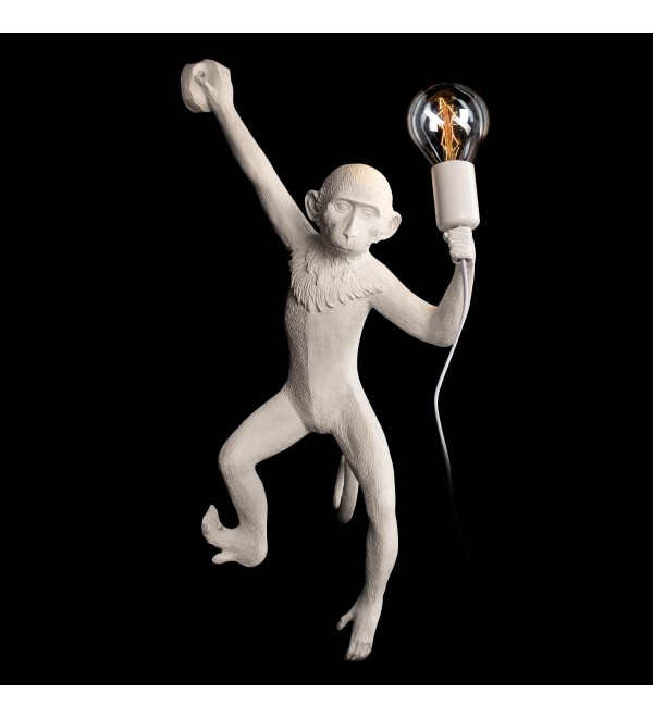Настенный светильник LOFT IT Monkey 10314W/B