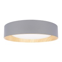 Потолочный светильник LOFT IT Coin 10202 Grey