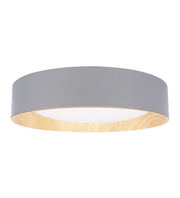Потолочный светильник LOFT IT Coin 10202 Grey