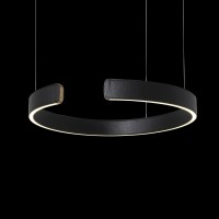 Подвесной светильник LOFT IT Ring 10025/400 Black