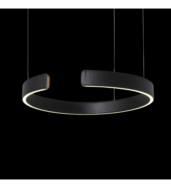 Подвесной светильник LOFT IT Ring 10025/400 Black