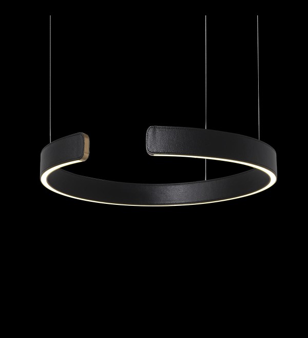 Подвесной светильник LOFT IT Ring 10025/400 Black