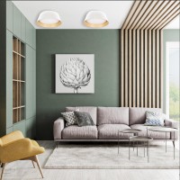 Потолочный светильник LOFT IT Evans 10224 Black