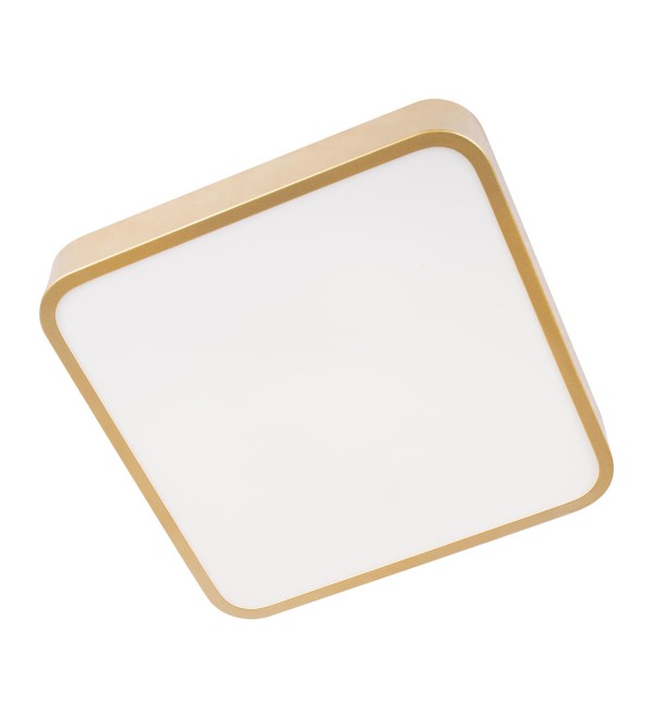 Потолочный светильник LOFT IT Flims 10228/C