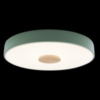 Потолочный светильник LOFT IT Axel 10003/24 Green
