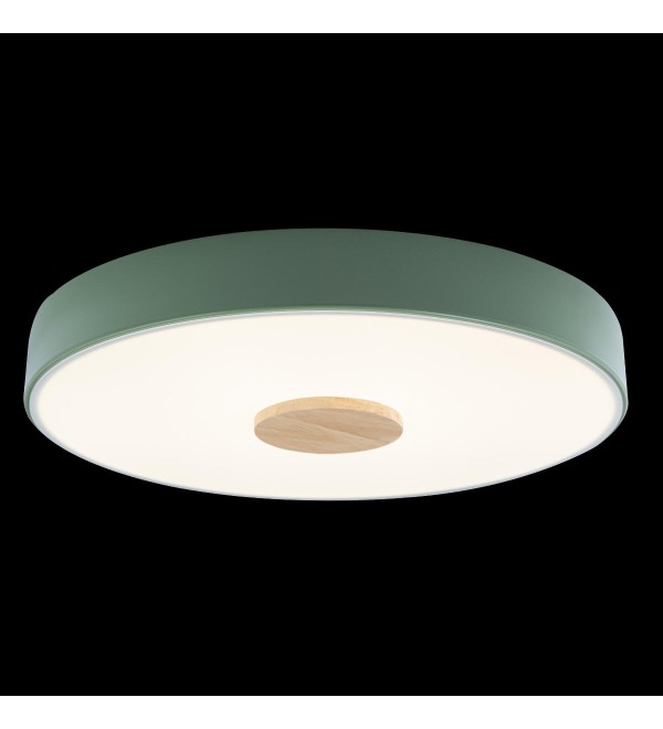 Потолочный светильник LOFT IT Axel 10003/24 Green